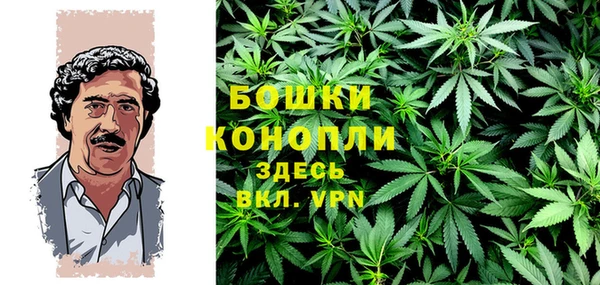 каннабис Новодвинск