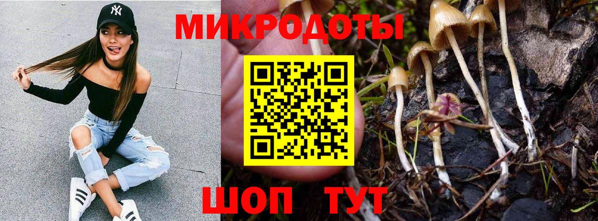 Псилоцибиновые грибы мухоморы  Галлюциногенные грибы Psilocybine cubensis  Зерноград 