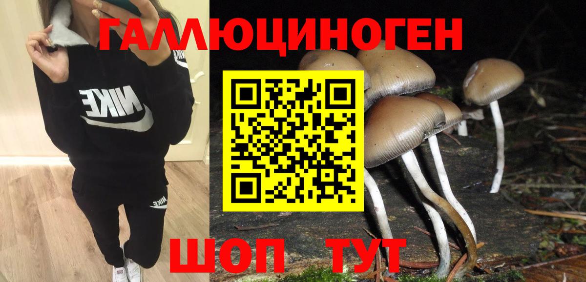 Галлюциногенные грибы GOLDEN TEACHER Зерноград